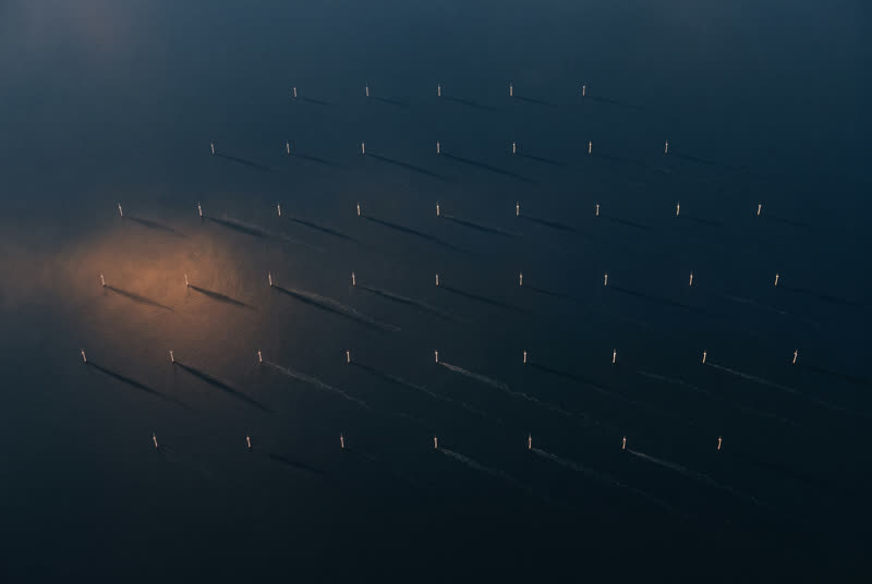 An offshore wind farm from high above at first light, turbines as small marks on dark water with long shadows