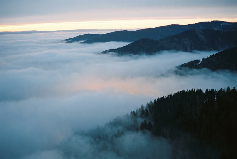 A city basin filled with low cloud at first light, dark forested ridges emerging above the mist